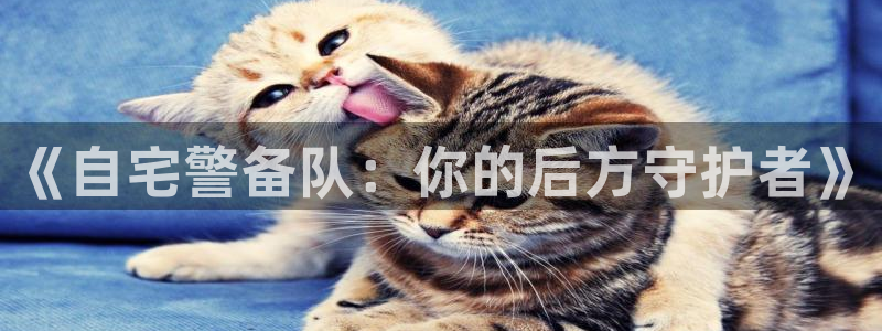 囧次元app官方下载：《自宅警备队：你的后方守护者》