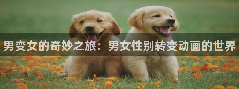囧次元动漫app：男变女的奇妙之旅：男女性别转变动画的世界