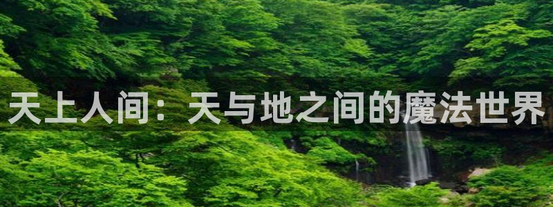 囧次元app官方下载：天上人间：天与地之间的魔法世界