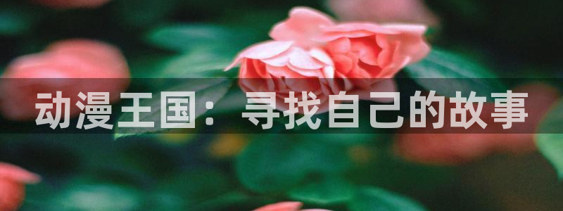 囧次元app下载安装：动漫王国：寻找自己的故事