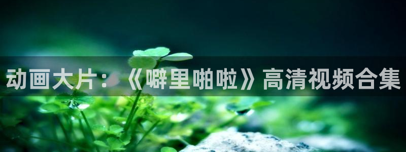 囧次元1：动画大片：《噼里啪啦》高清视频合集
