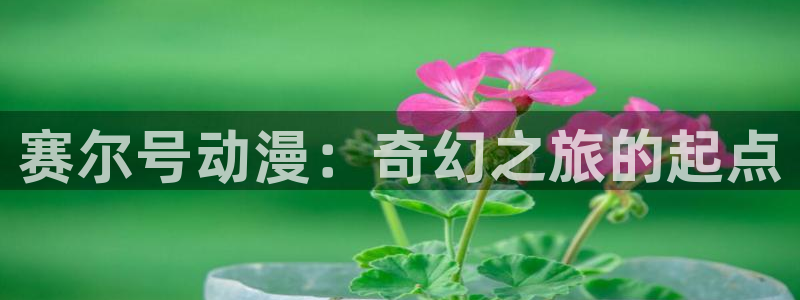 囧次元是什么：赛尔号动漫：奇幻之旅的起点