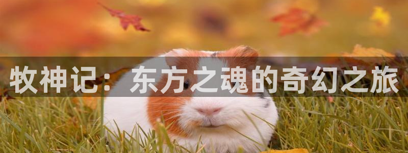 囧次元app最新版本：牧神记：东方之魂的奇幻之旅